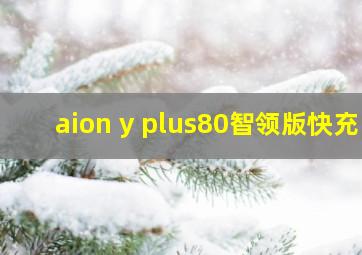 aion y plus80智领版快充